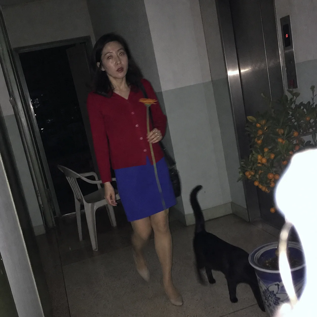 낡은 스마트폰 플래시로 우연히 찍힌 듯한 복도의 여성과 검은 고양이, 오렌지나무